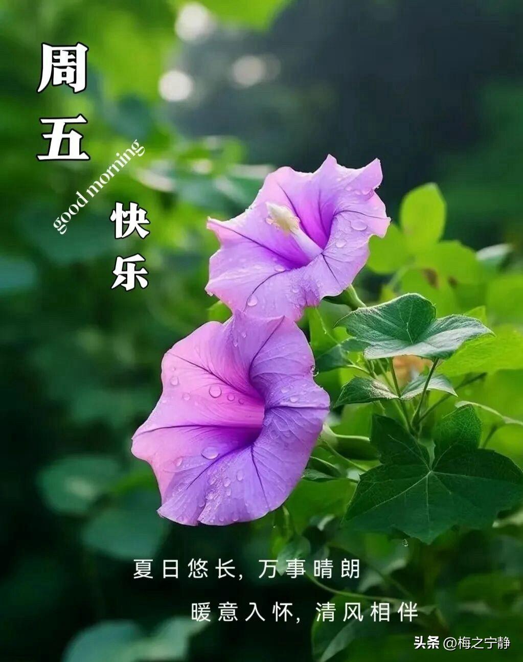 🌼²⁰²⁶/₀₇.₂₄ᵕ̈ᵕ̈ᵕ̈ 周五｜早安☀️🍃🍒🍑☕️
🍃𝐆?