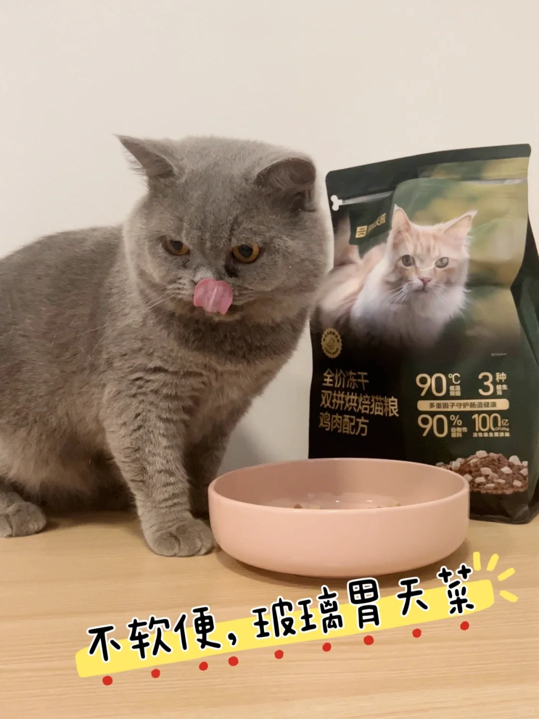 小猫我打败软便成为coser！