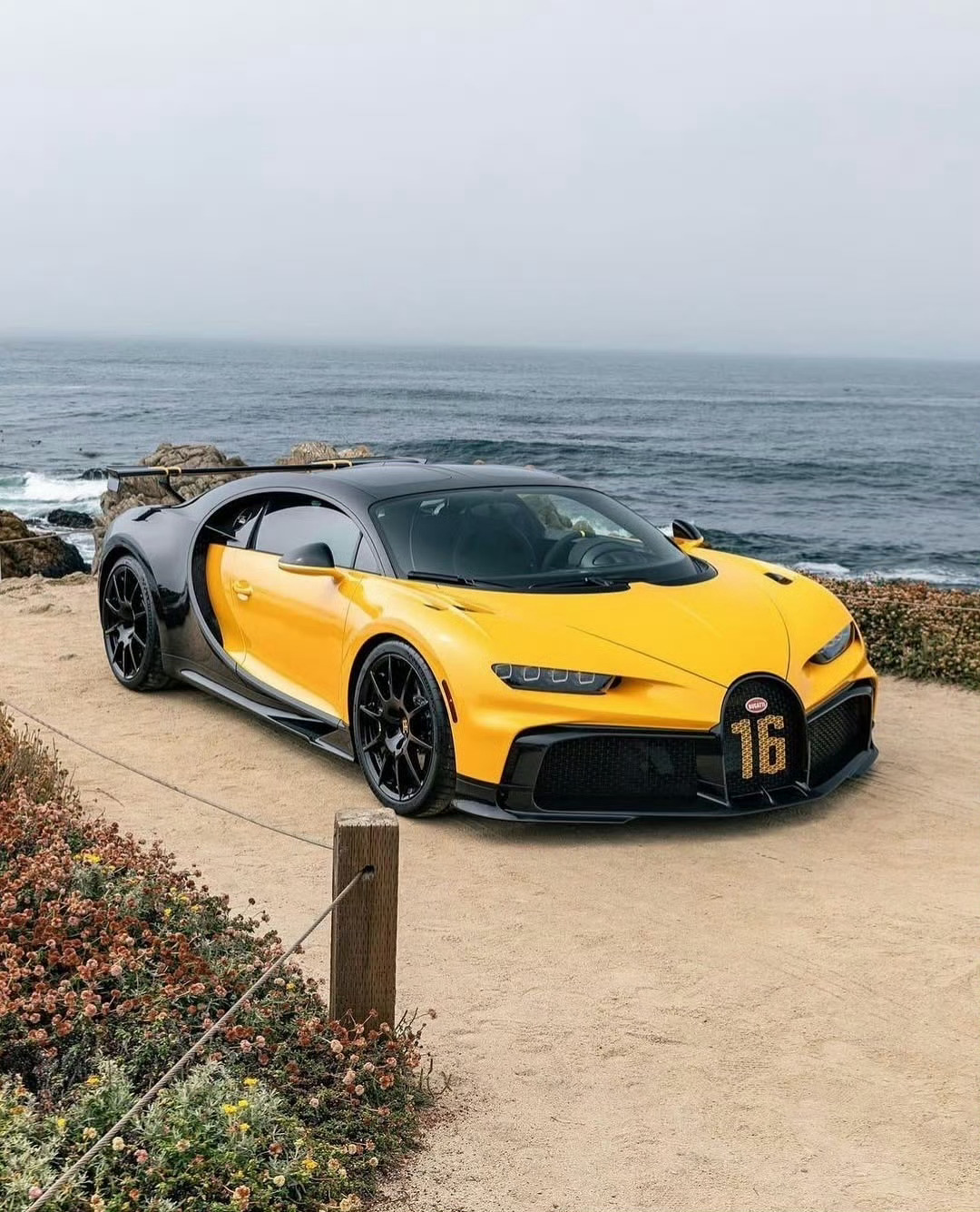 布加迪 Chiron Pur Sport💛🖤 