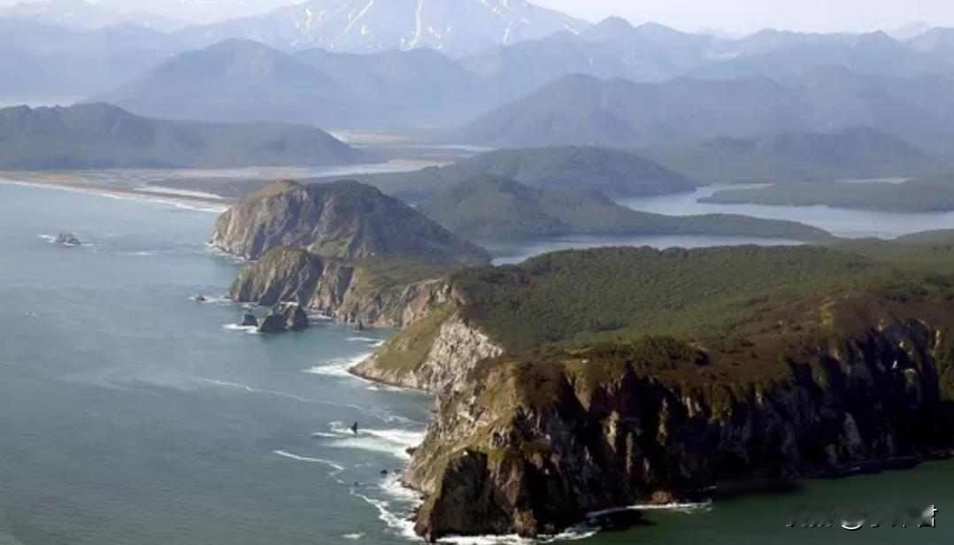 日俄特使秘密访俄遭拒，两月军演剑指争议岛，和平曙光再蒙尘？
12月26日，日本议