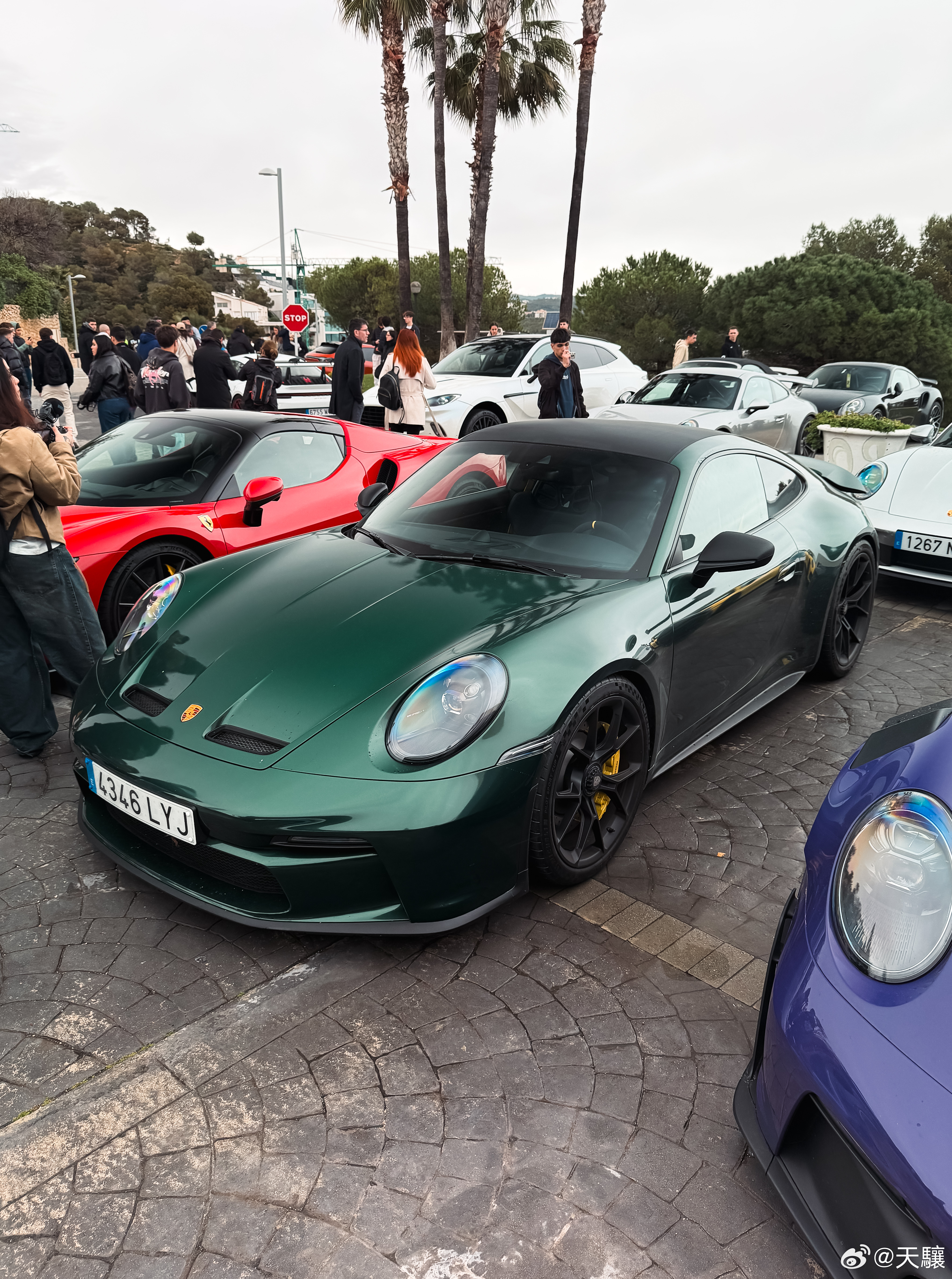 保时捷密度过高的活动 