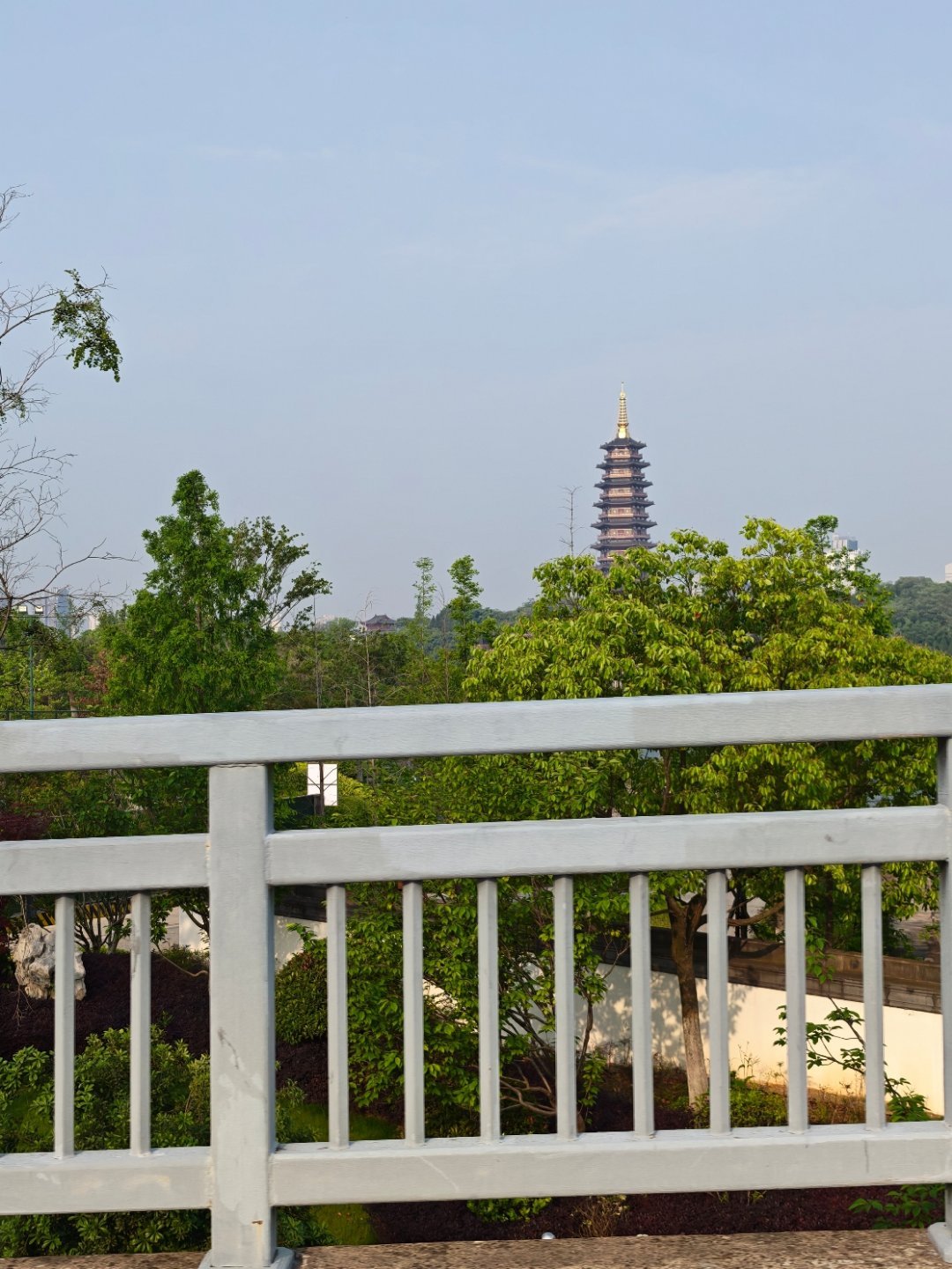 补打卡，今天下大雨🌧️，南方的雨季就是这样，前几天还是艳阳高照，突然就降温没下