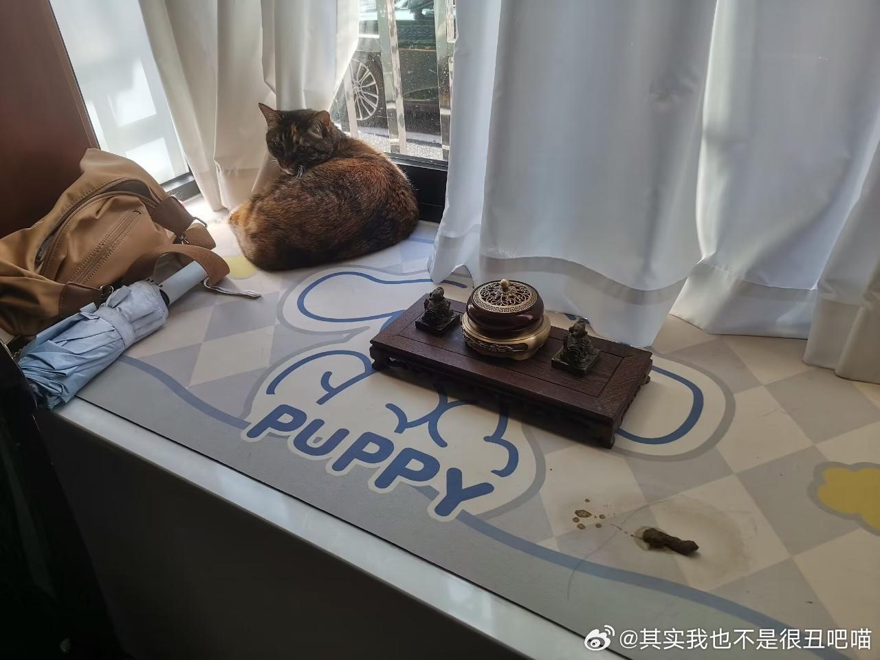 49827【心灵丑】你们知道我要说什么 