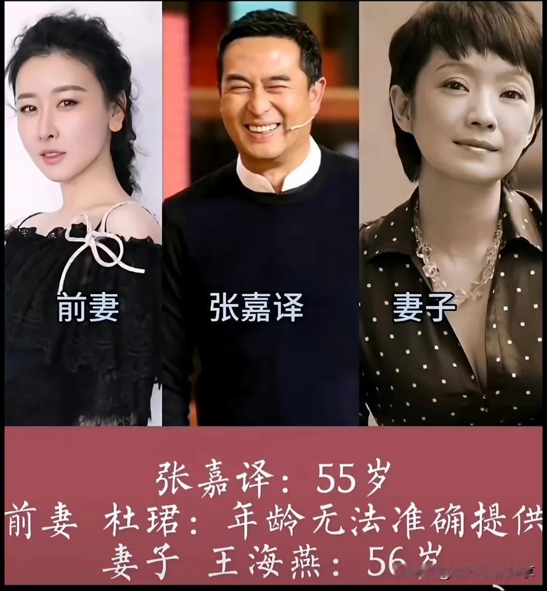 男明星虽然离过婚，再婚后家庭幸福美满。
张嘉译与王海燕这对明星夫妻，正用他们的行