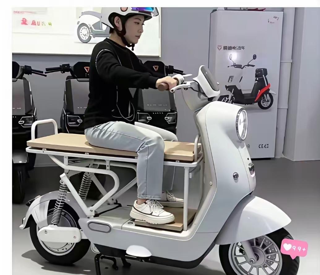 新新国标电动车出来之后，网友们充分发挥了脑洞，只需要简单的一改装，立马电动车的实