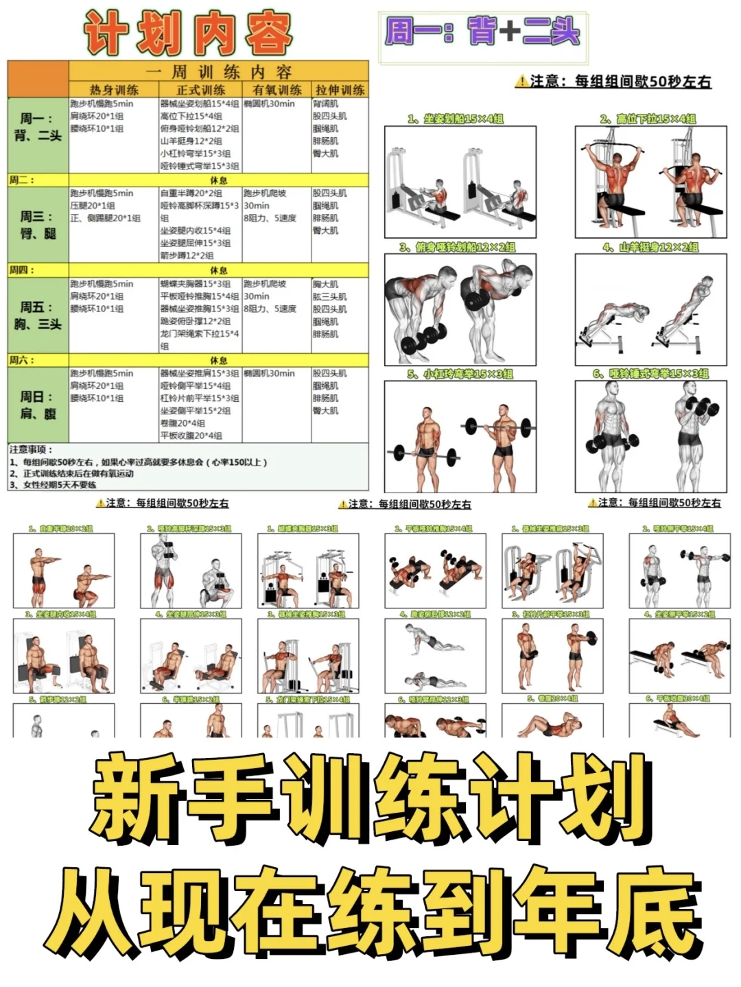 健身新手训练计划！适合健身房小白，附带教程