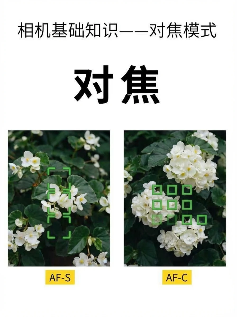 当我学会了相机的4种对焦模式‼️