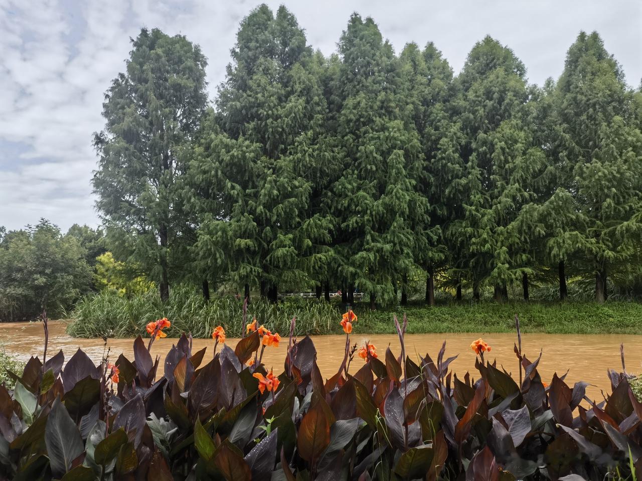 夏日生活打卡季绿叶摇曳，轻舞飞扬，夏日的景象如诗如画，令人留连忘返。