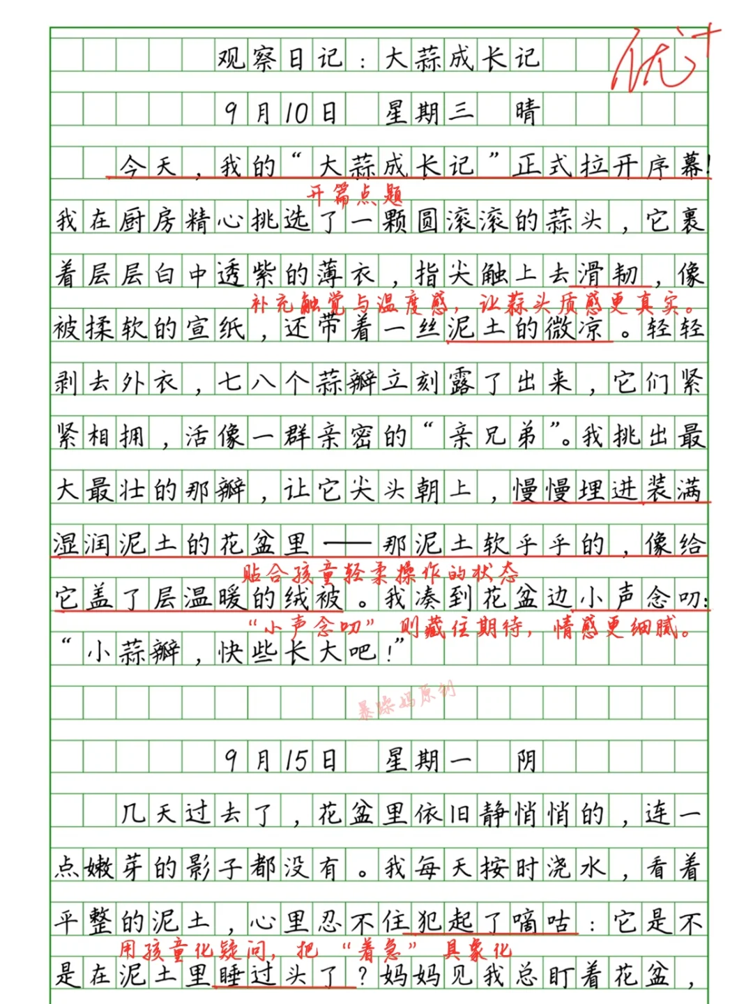 🔥四上第三单元观察日记《大蒜成长记》