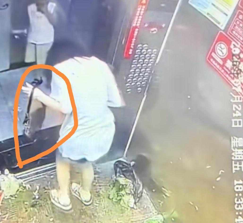 湖北仙桃电梯冲突
原来男孩妈妈被扒出是女网红
不是根据她的相貌，而是一个包包
