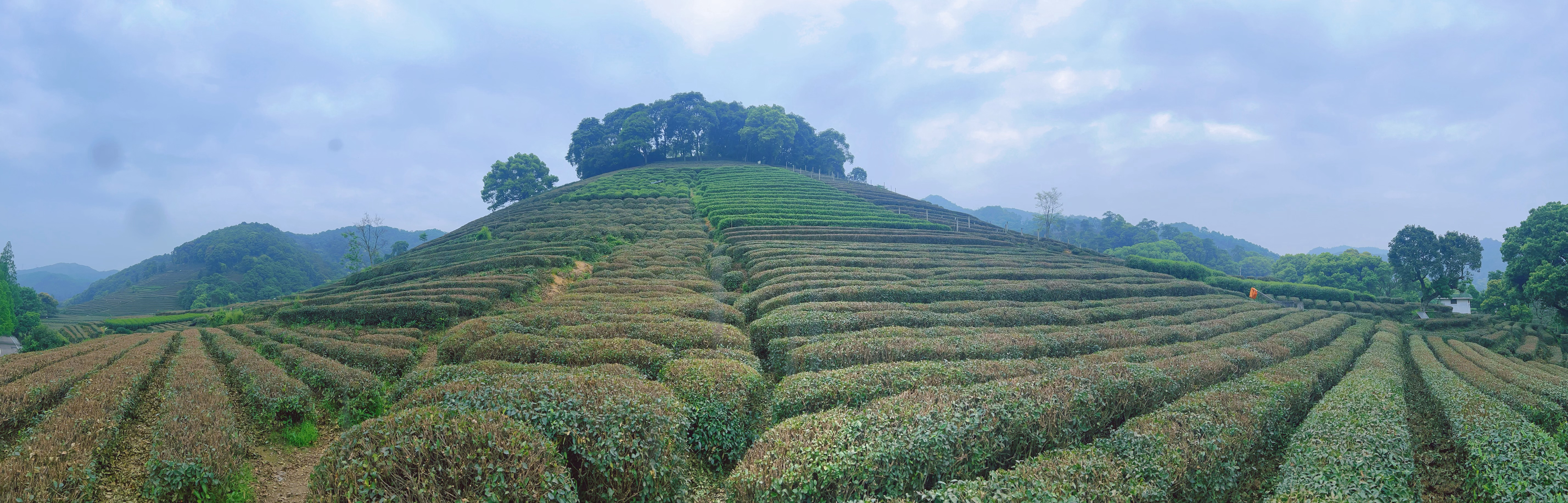 进山，吸氧，做饭，猫猫狗狗，治愈，充实🍃 ​​​