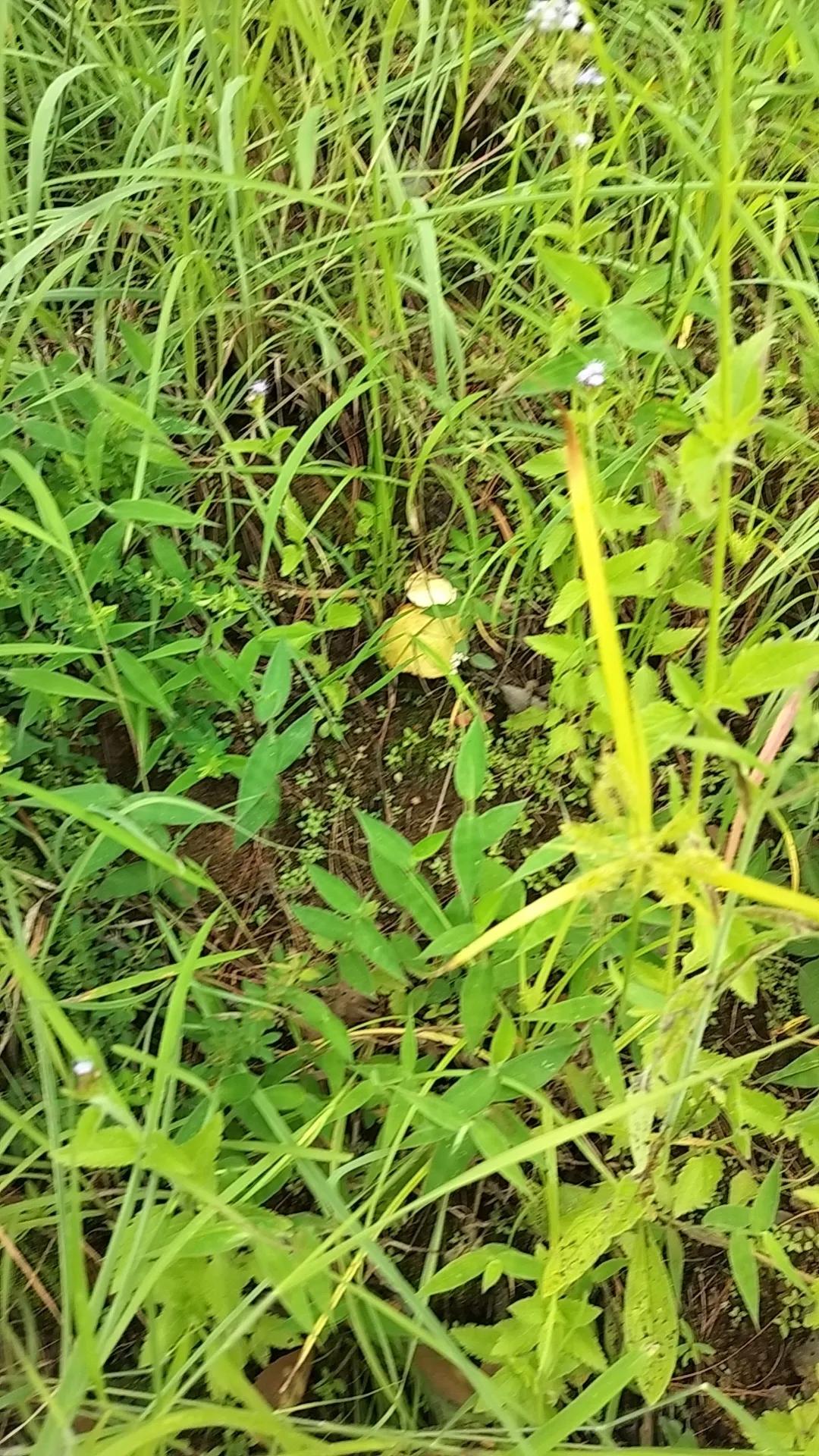 夏日生活打卡季中大乐透一等奖