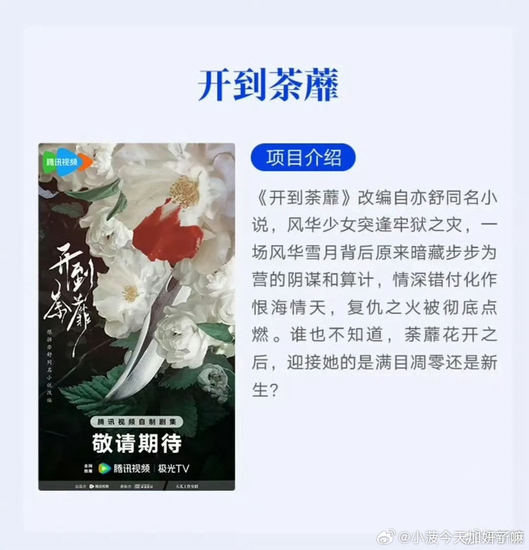 “荼蘼花开之时🔥复仇之火点燃”静候这个开到荼蘼  静候这个白鹿王韵娜  这个简