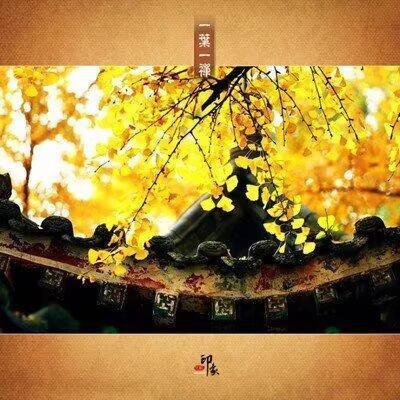 古话说：尽人事而听天命。
首先必须“尽人事”，否则馅儿饼决不会自己从天上落到你嘴