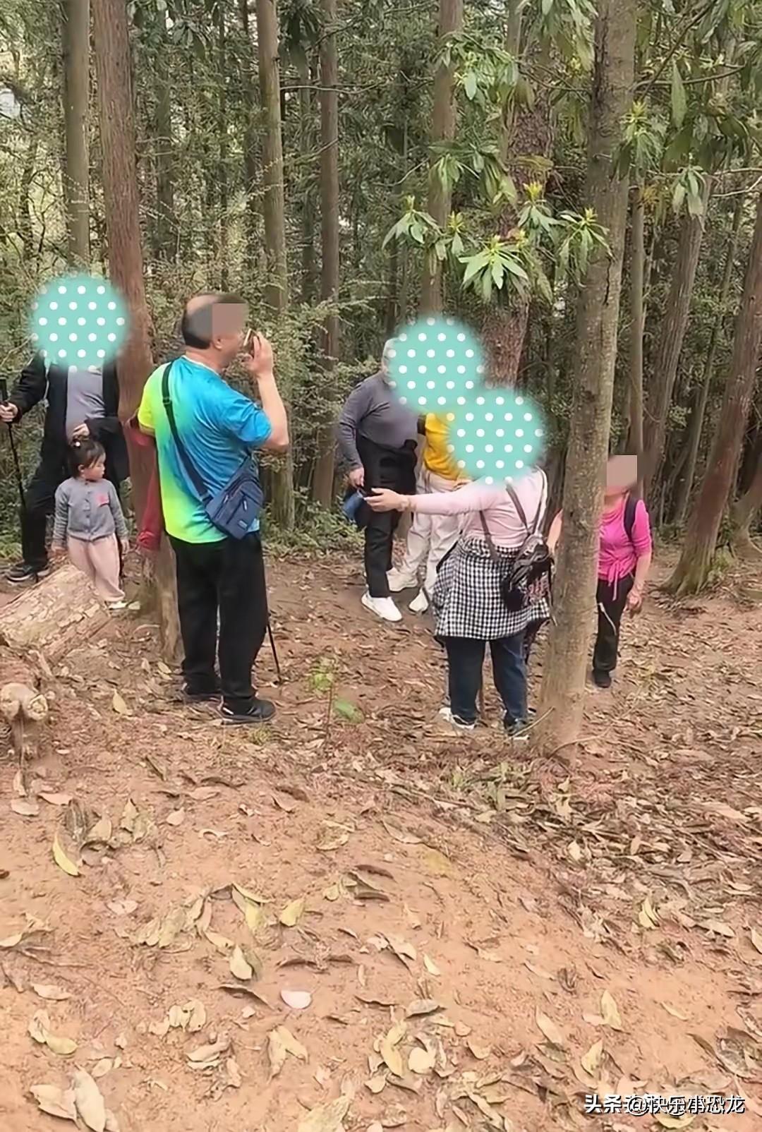 几名老人徒步去爬南昌老四坡，爬到半山腰时，一老太太体力不支，靠在树干上大口大口喘