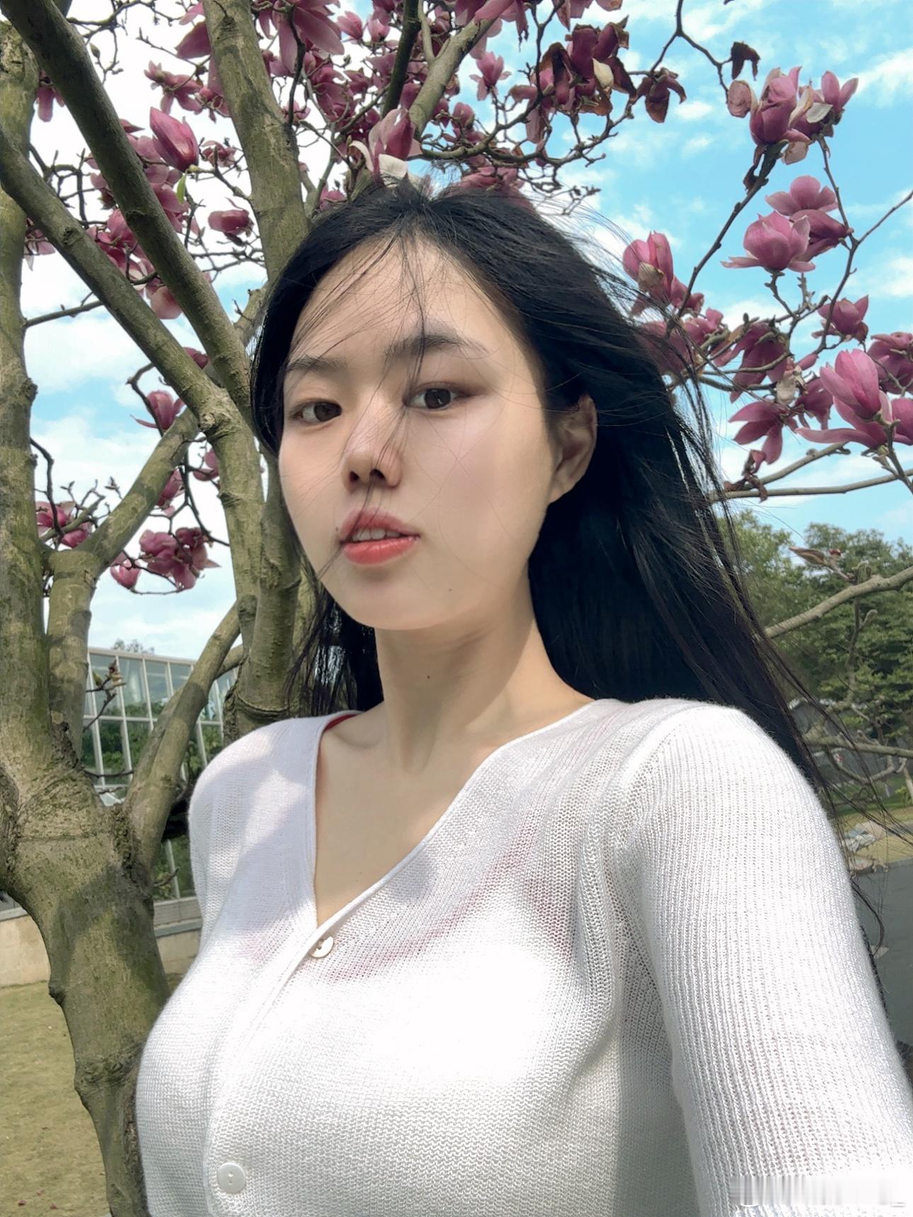 阳春三月 ​​​