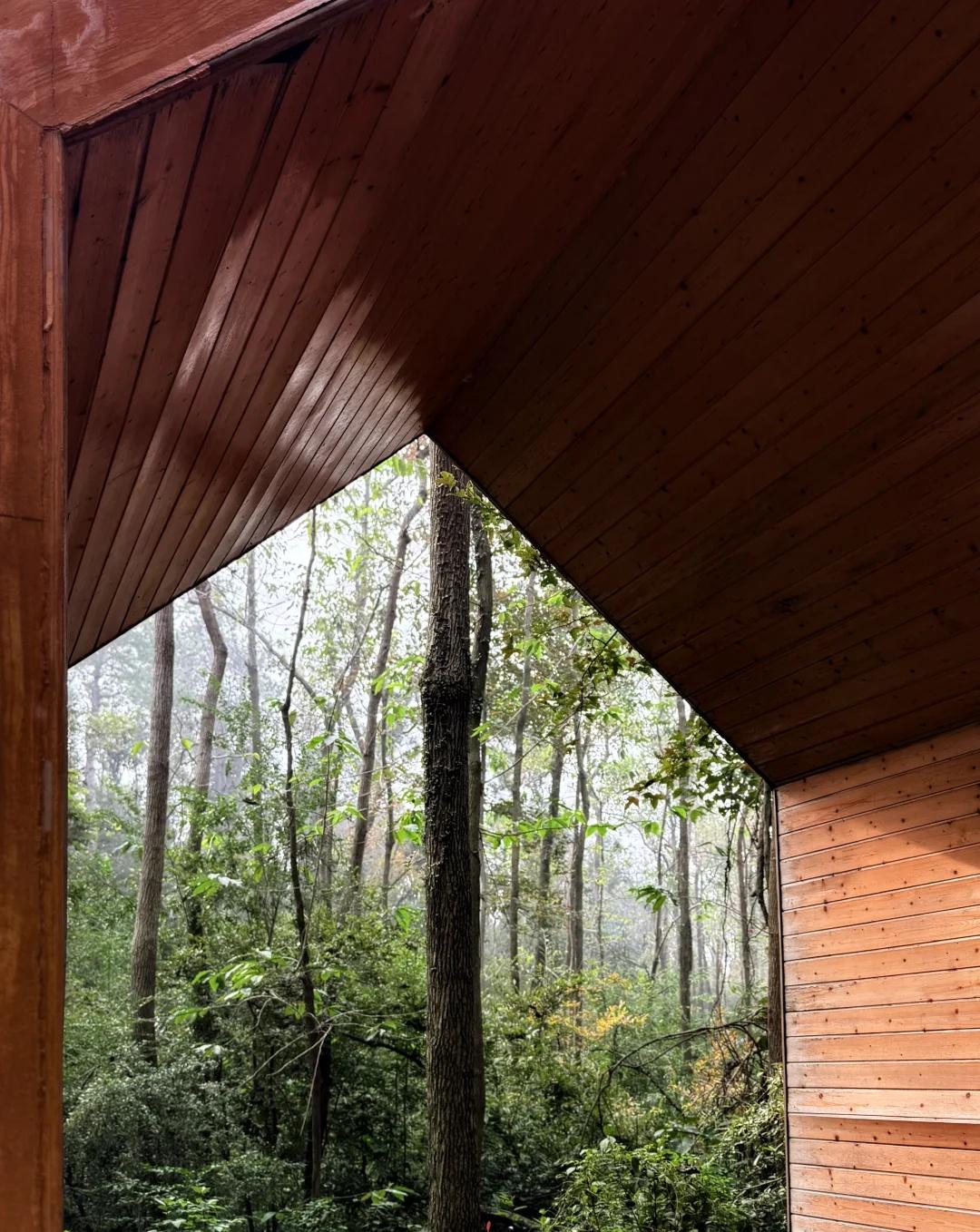 周末逃离计划|天然氧吧——八分山
户外徒步 武汉八分山 小众旅游点 徒步丈量世界