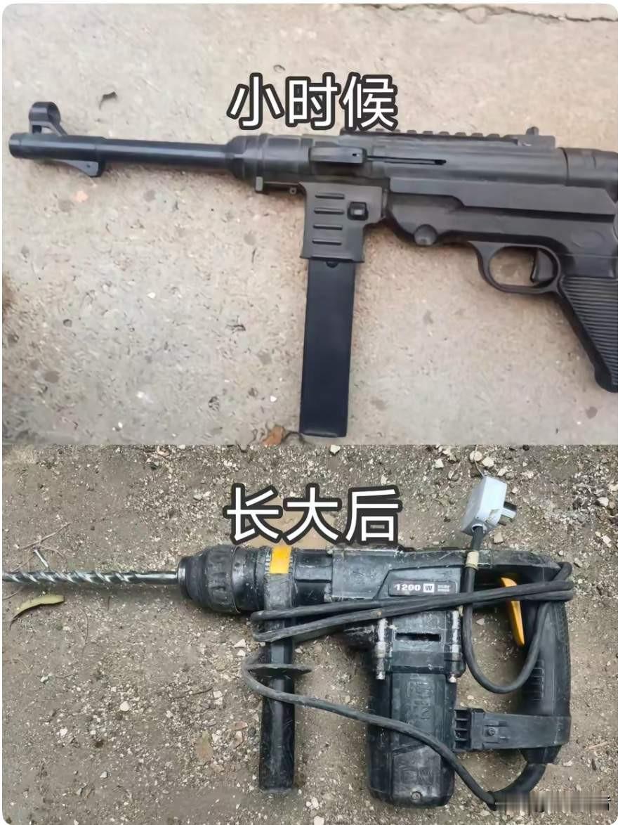 年少心有凌云志，誓踏山河护家国。
成年褪去少年狂，静守方寸渡日常。
从意气风发的