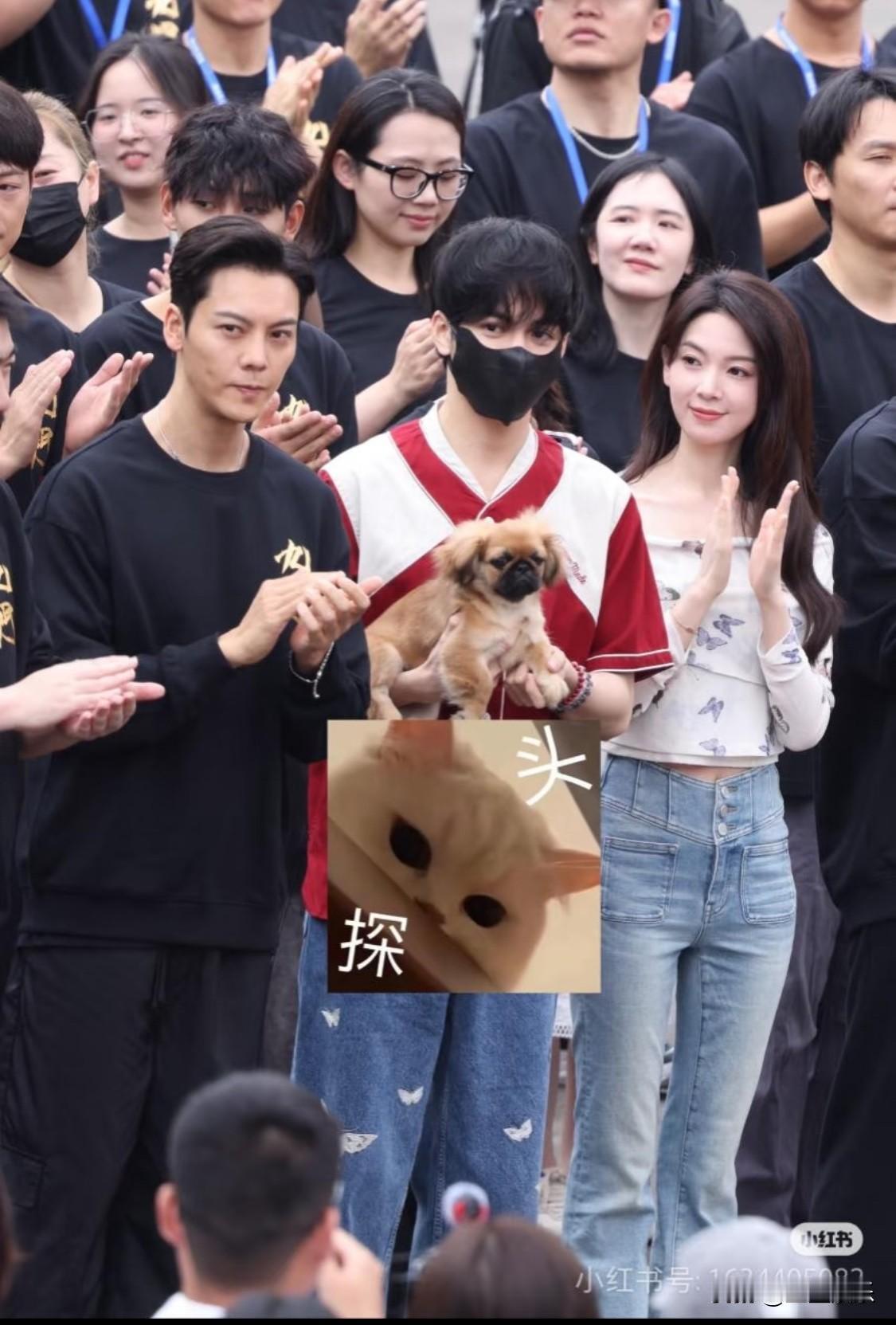 九门开机大吉
期待曾舜晞的吴老狗曾舜晞 九门