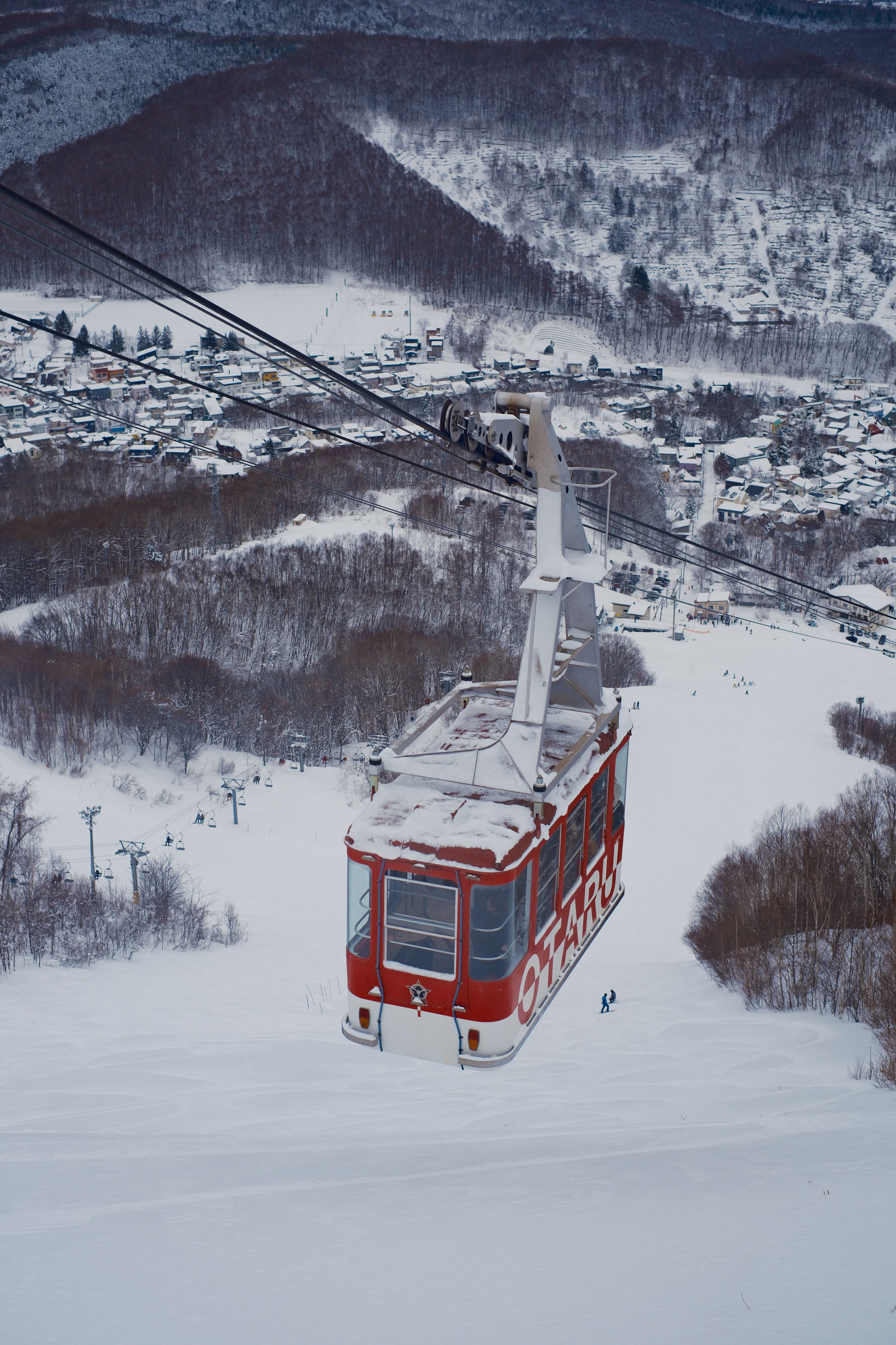 南方长大的孩子真的没见过这么大的雪🙊 