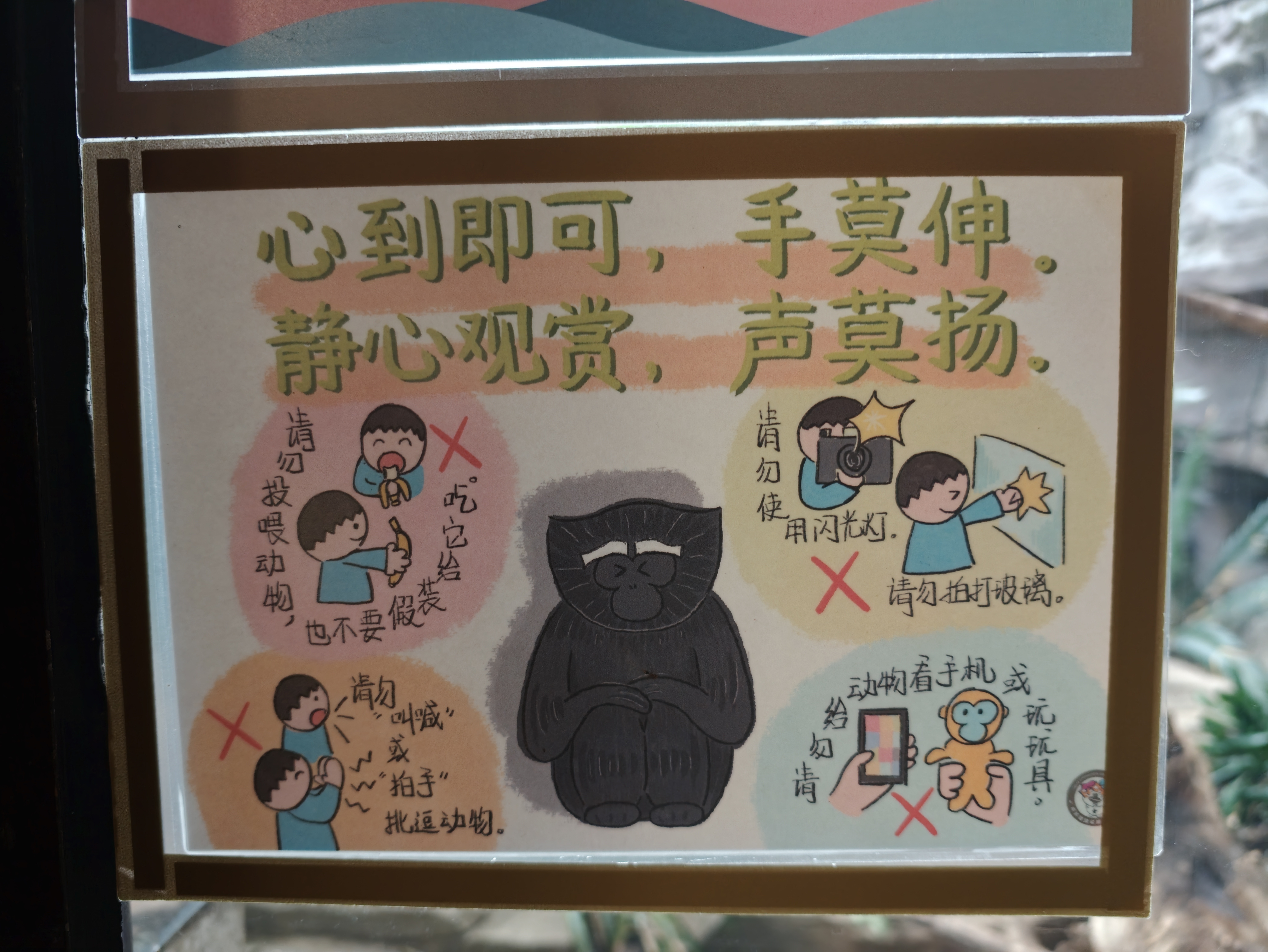 金秋游红山 真的会有人给动物看手机吗[允悲] ​​​