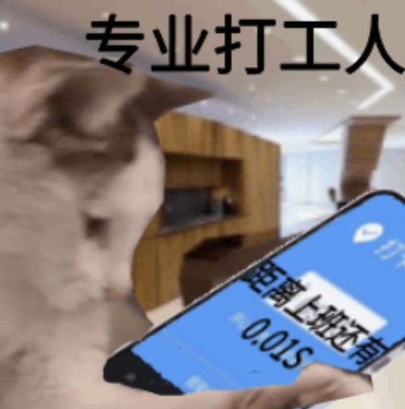 踩点起床，踩点上班，这就是我的多踩人生 