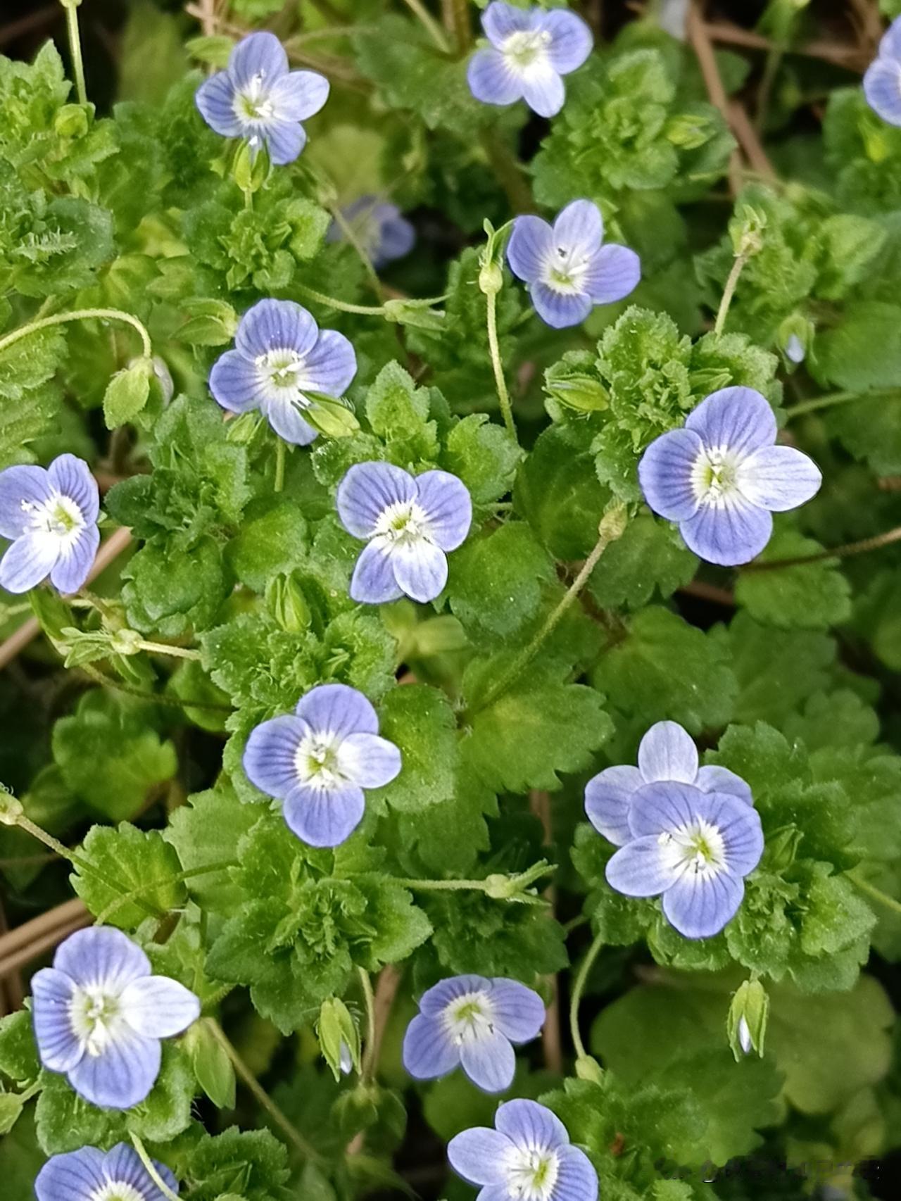 老实人的18个特征晒图笔记大赛 
01.说话太客气了：动不动就说“谢谢”“对不起