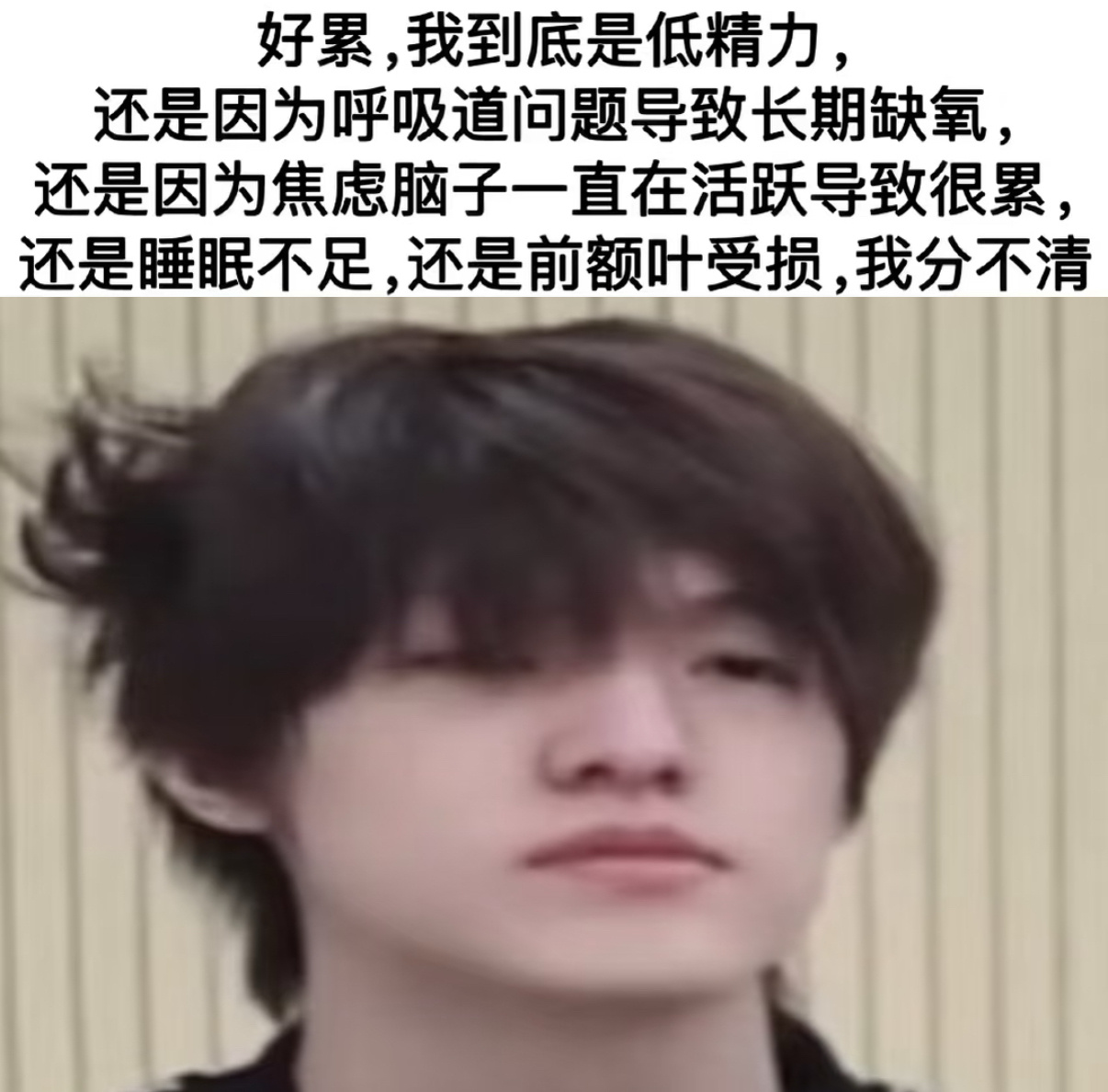 分享图片 