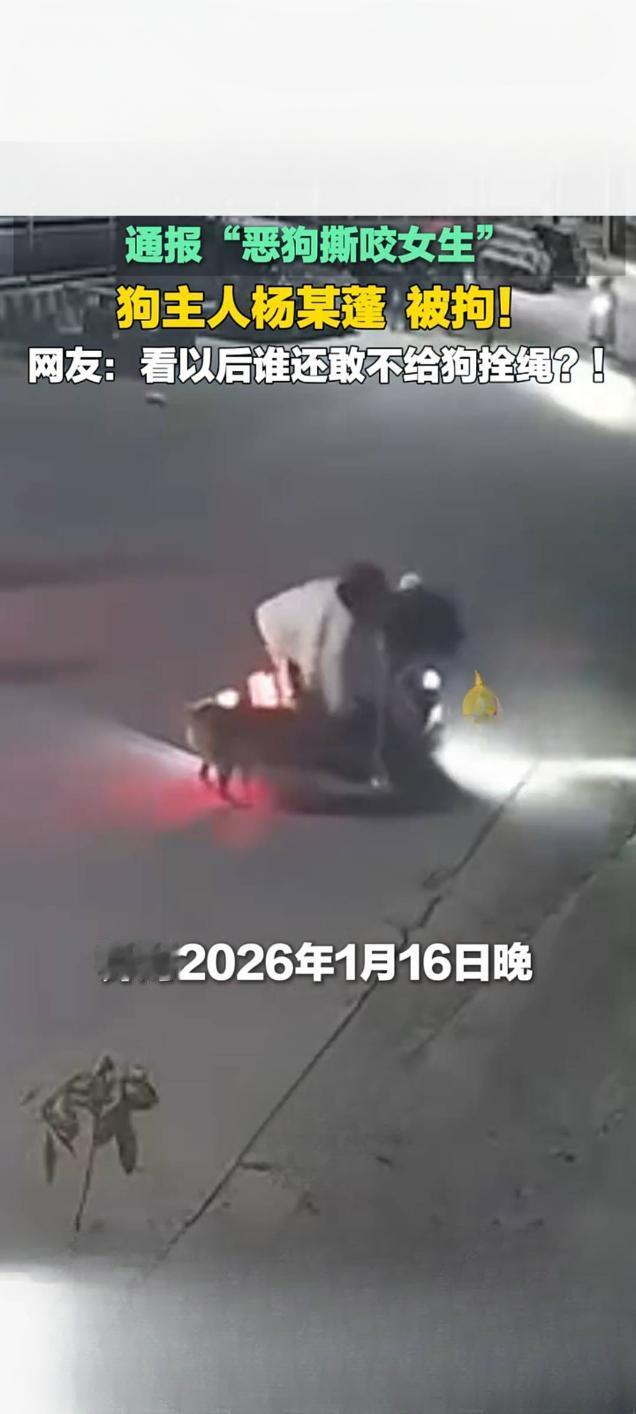 恶狗撕咬女生事件引众怒 狗主人杨某蓬被依法拘留
 
近日，一起“恶狗撕咬女生”事