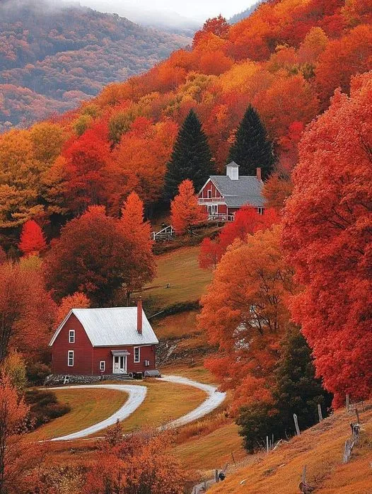 美图欣赏——山中枫叶林的浪漫时光