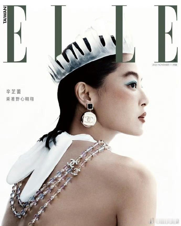 辛芷蕾十一月撞四刊辛芷蕾登台版ELLE，十一月杂志有ELLE、V中文版，嘉人，E