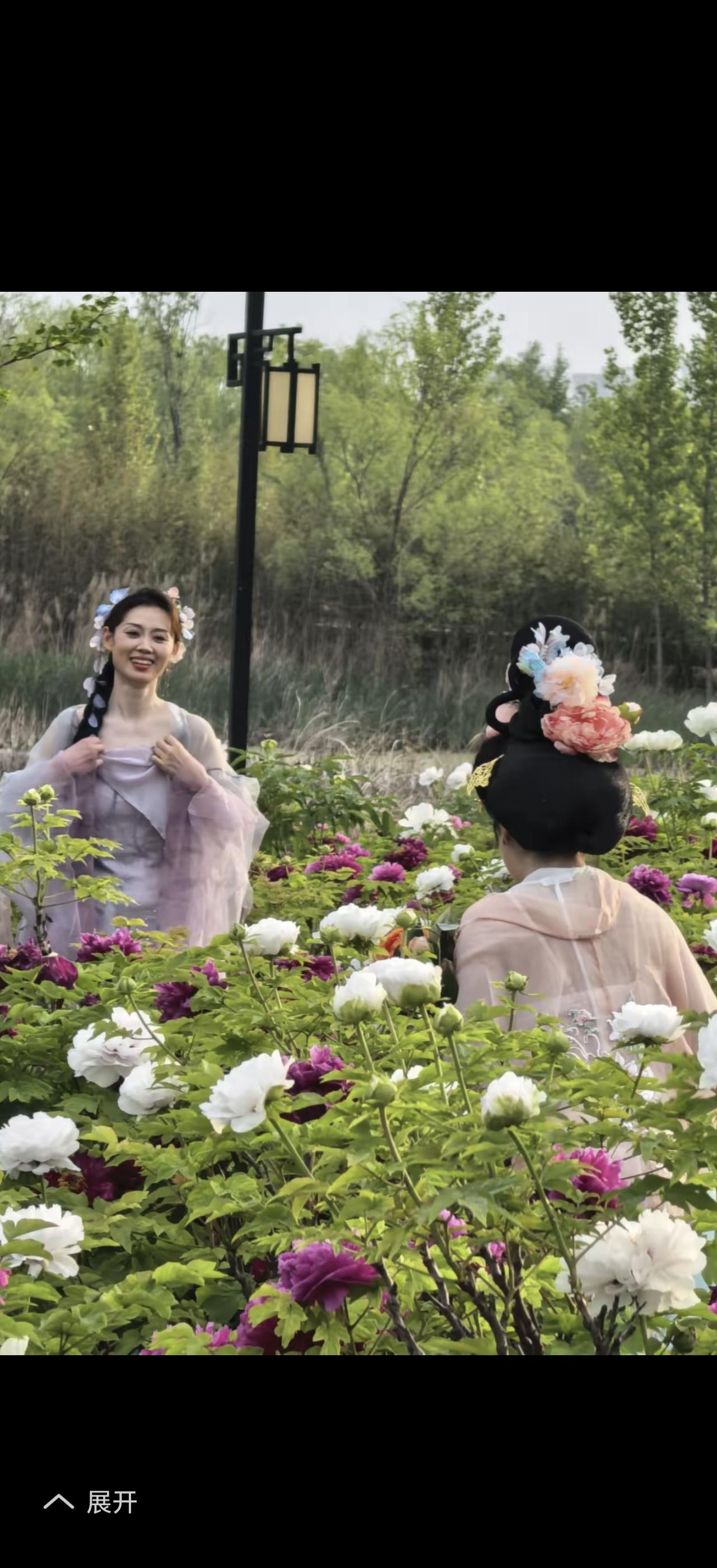 花开富贵飞黄腾达