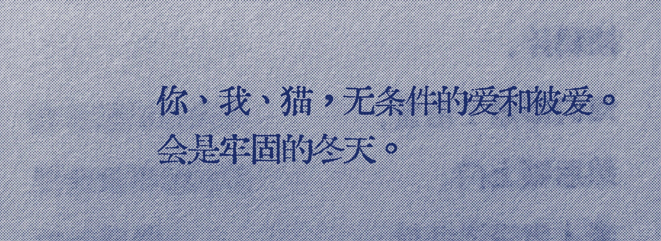 救命呀好爱“你我猫会是一个牢固的冬天”