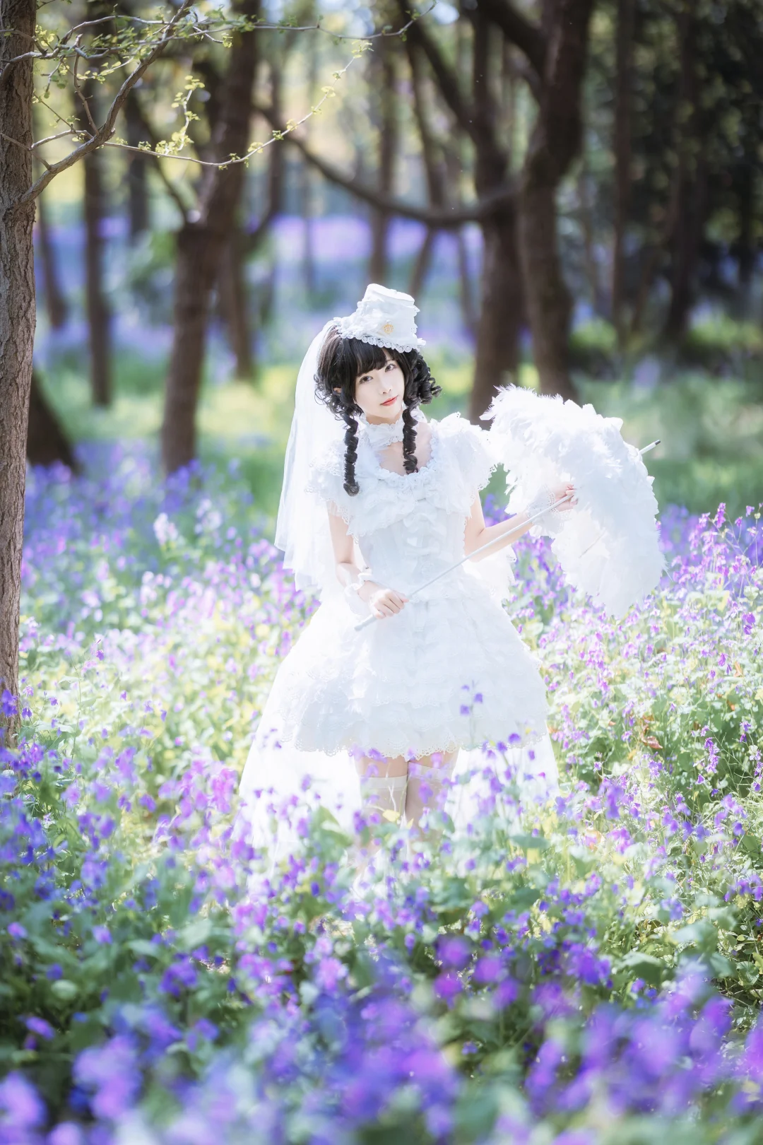 二月兰和小羽毛💜