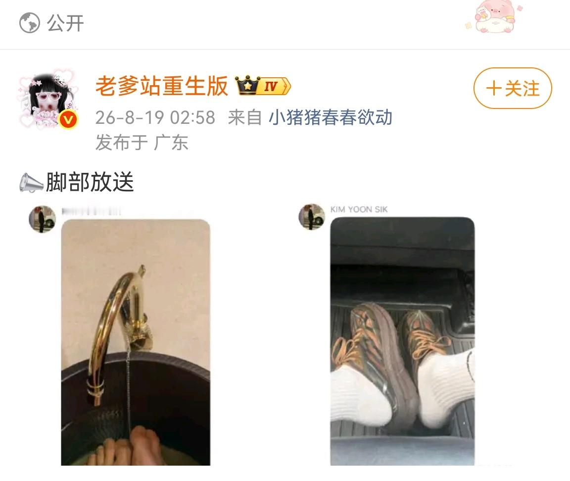 谁投的，我服了吧