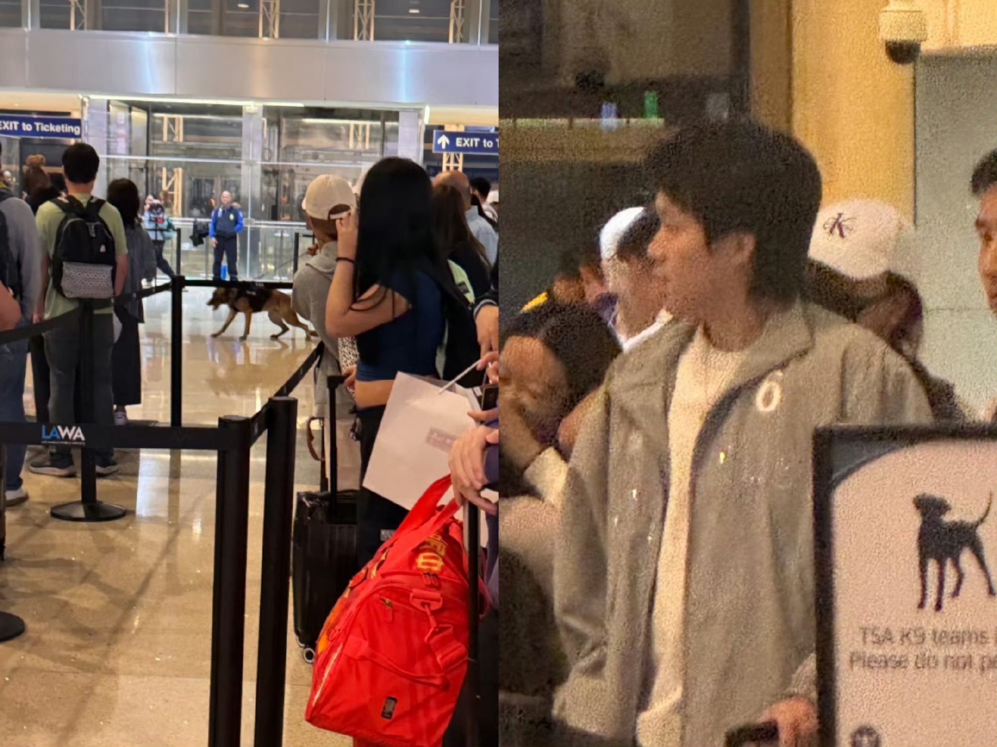 王楚钦小嘴淬毒的日常咋这么好笑