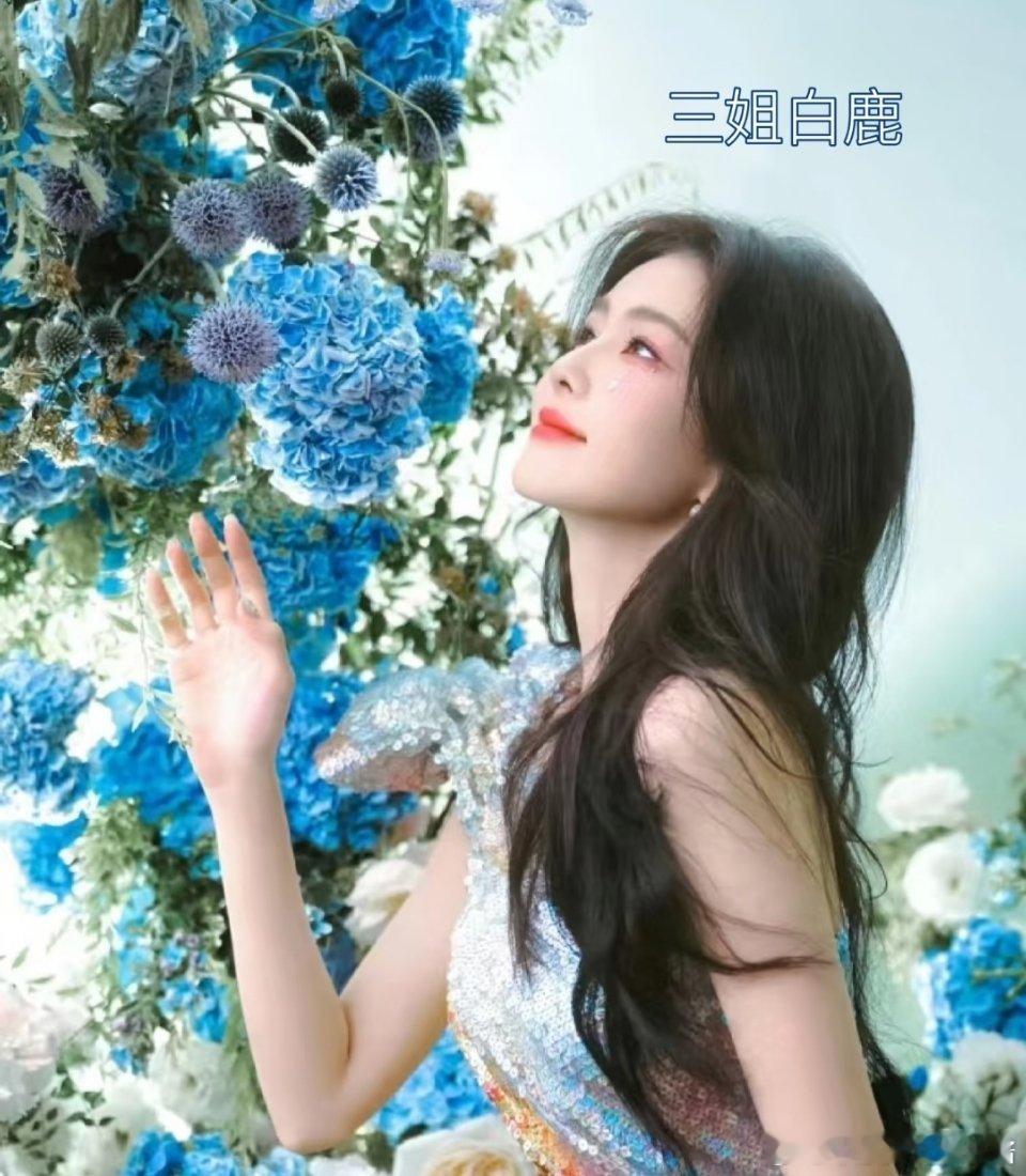 网友总结的跑男四美是: baby 迪丽热巴 白鹿 宋雨琦 