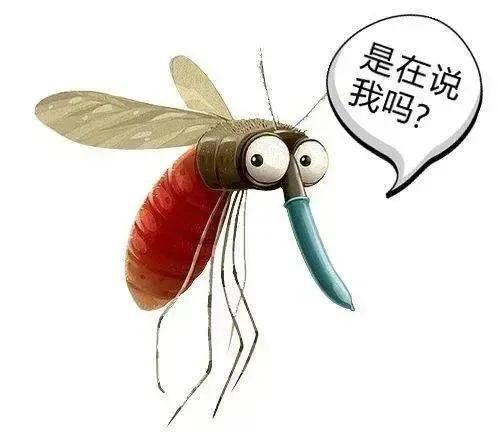 我出来散步，喷了6神驱蚊花露水，可是走在路上还是会有蚊子来叮。

这蚊子叮完之后