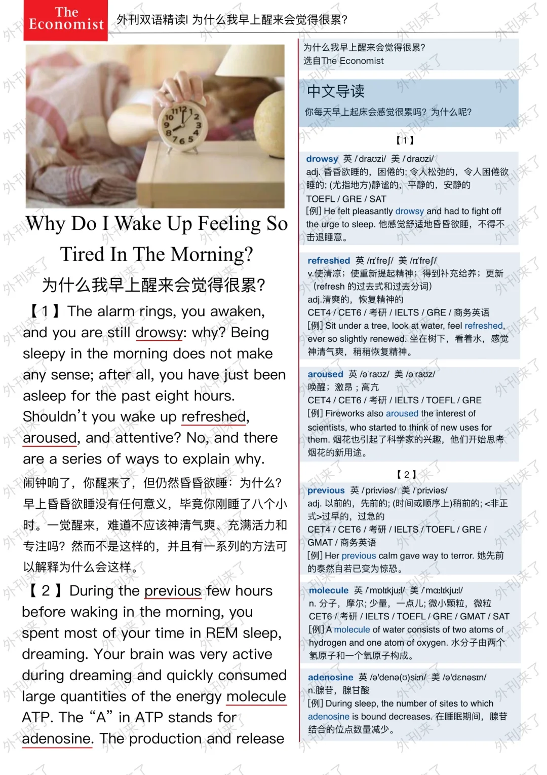 外刊精读166 | “睡醒疲惫”的原因居然是..