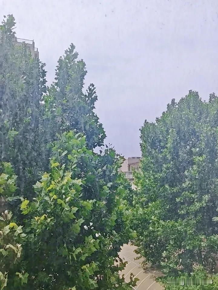 今天是个好日子
阳艳高照
见不得光
的牛鬼蛇神
躲在地下瑟瑟发抖
加油
老阿姨