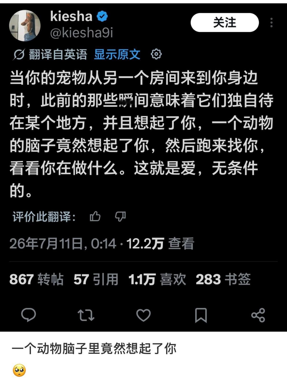 妈呀我的小猫