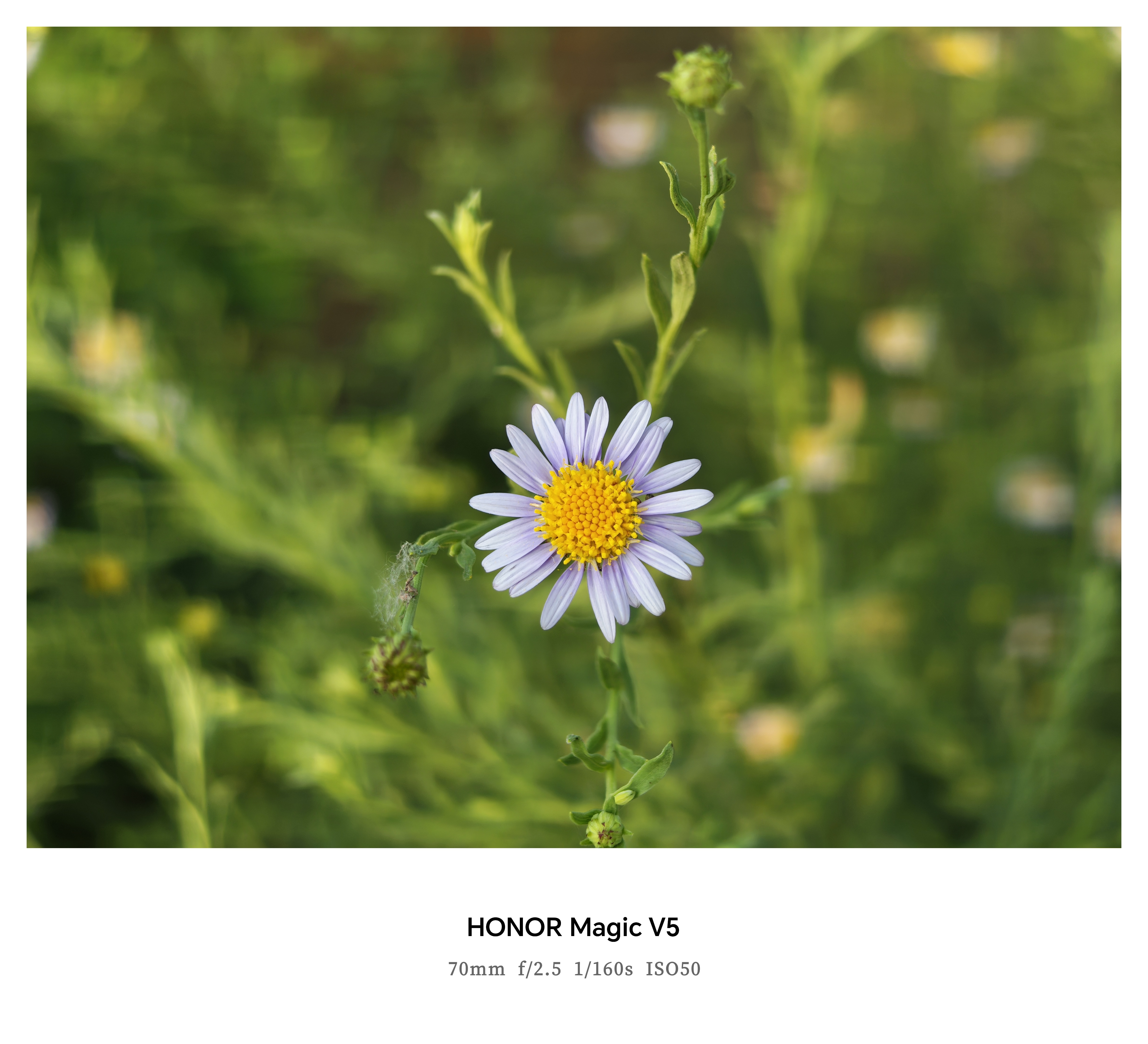 荣耀Magic V5的拍照，肯定属于大折叠里面最好的那一档。 ​​​