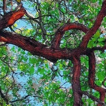 阳光信用[超话][笑而不语]阳光信用 [笑而不语]每日一善 拥有一颗安闲自在的心