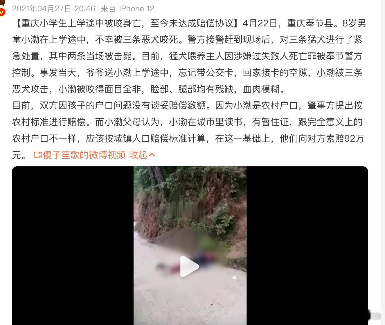 网红犬被偷走宰杀主人落泪回应 边牧攻击人，并不少见。农村地区的散养犬，导致很多悲
