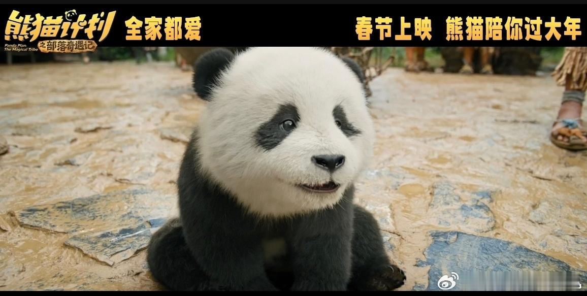 熊猫竟然有六根手指 马丽直播的时候真的时刻带着职场人的敏锐度。成龙大哥刚露出迟疑