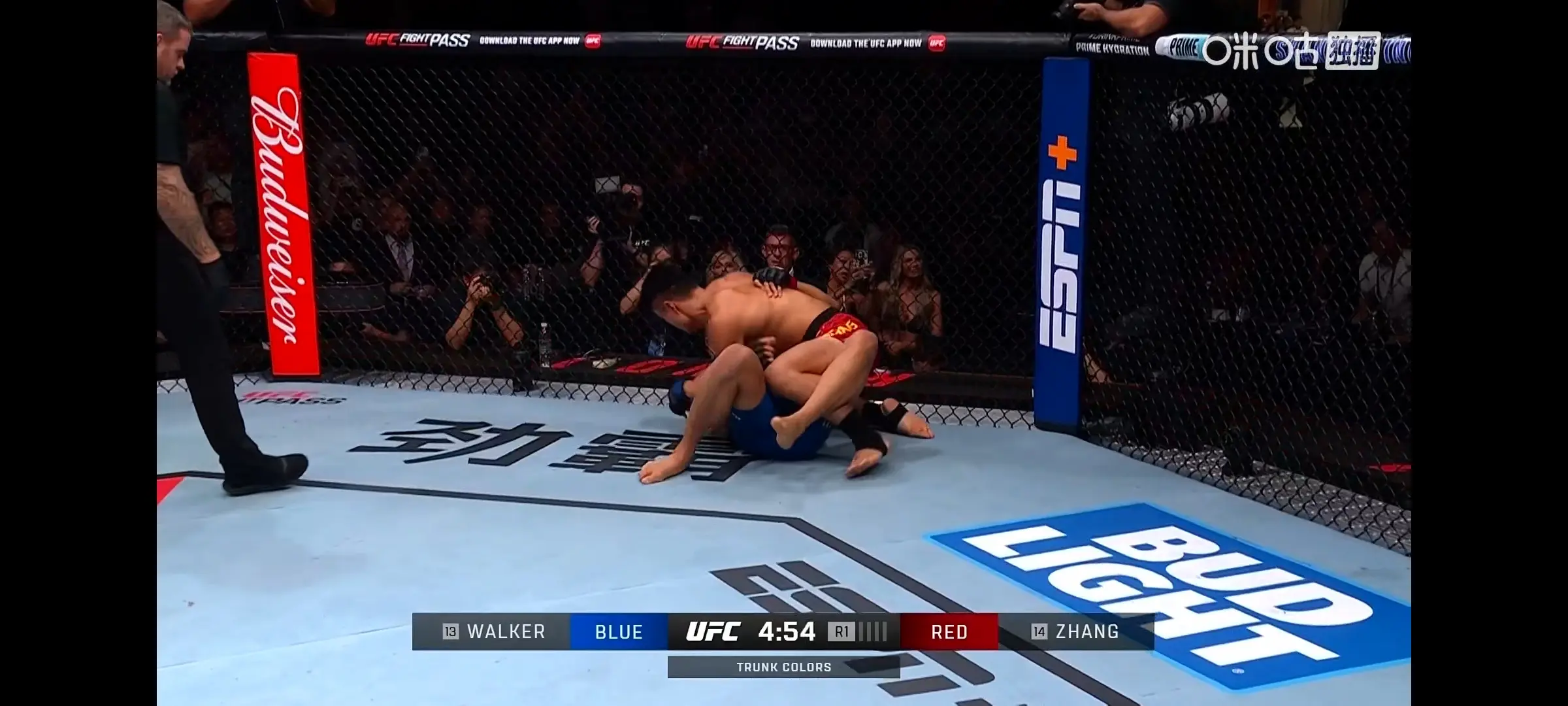 被tko了。   你记住属于我们的迟早拿回来