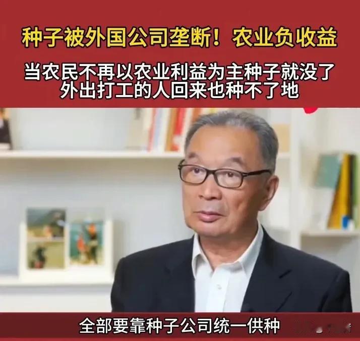 这才是真专家，温铁军指出：种子被外国公司垄断，农民的收入就会为负！

温铁军在接