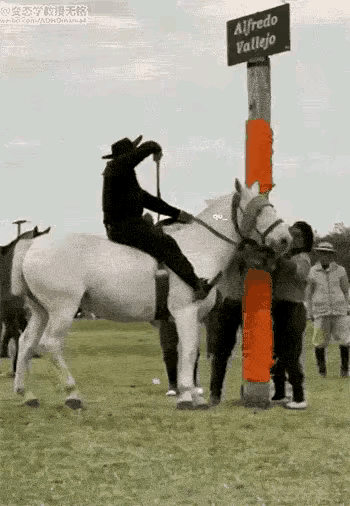 这匹白马还能要吗？也是训练了好长时间，也是有深厚的感情了！本来想显摆一下，出来遛