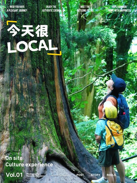 🌳闯入25°的大树王国！暑期江浙沪小众周边游