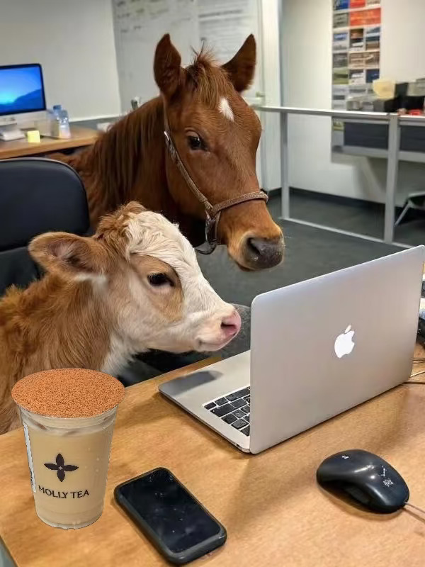 打工牛马有自己的草原咸奶茶